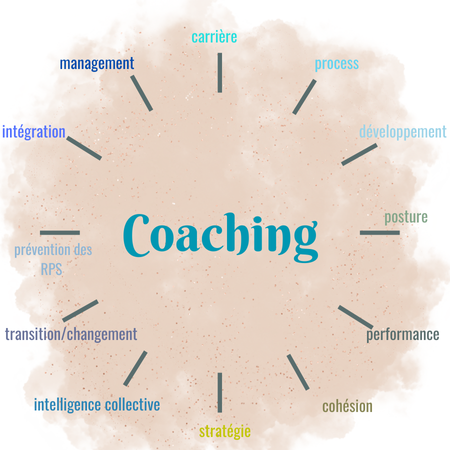 Le coaching lorsqu'il se destine aux professionnels